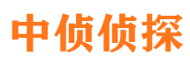 爱民侦探